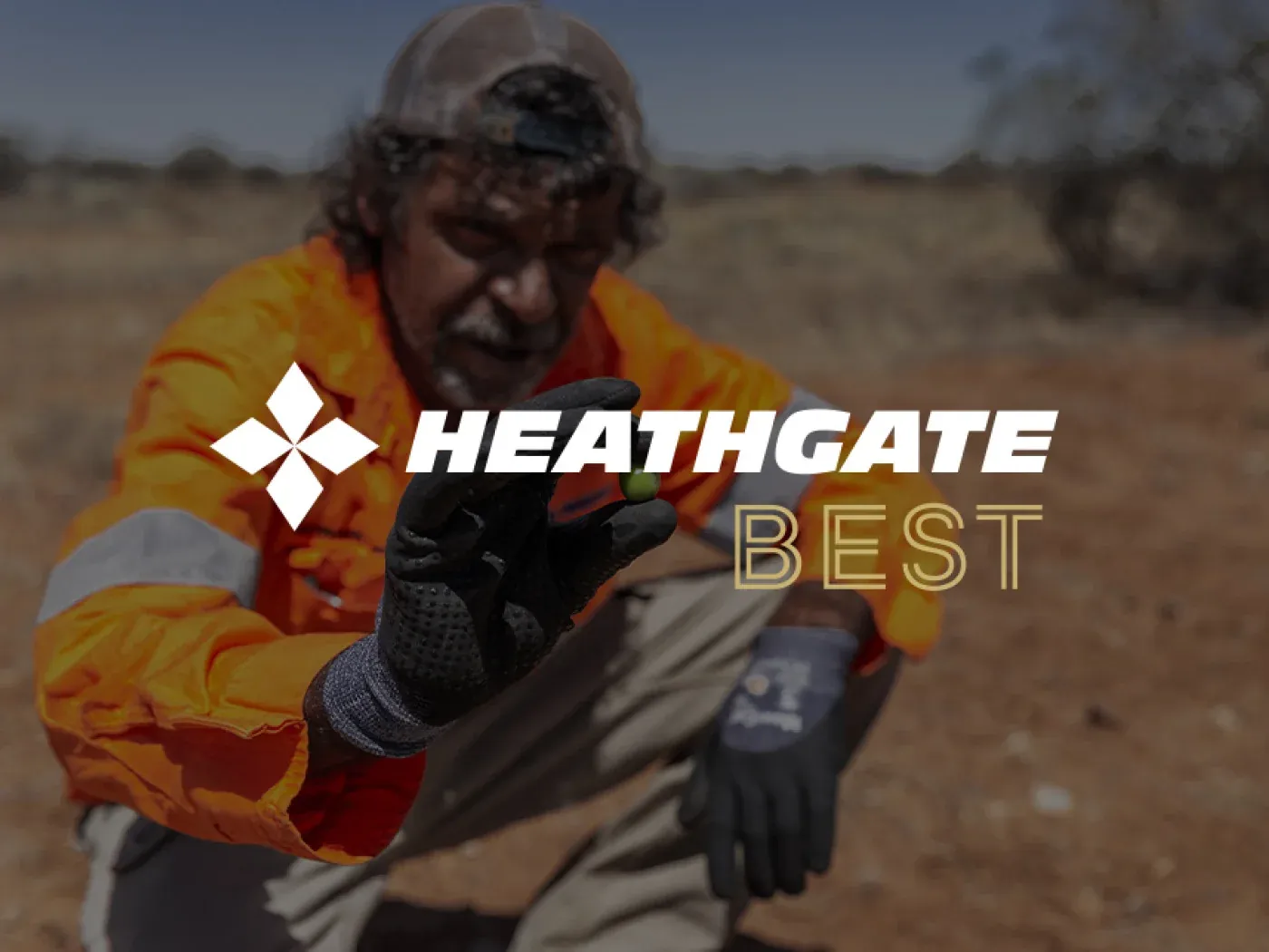 Heathgate brand artwork from Brighter’s portfolio